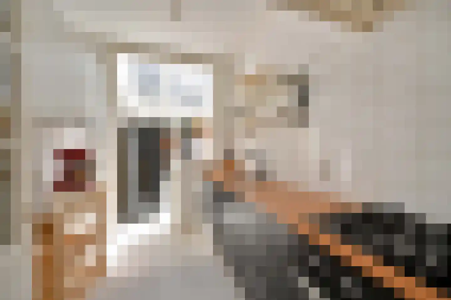 Lijsterbeslaan 119 Rijswijk thumbnail 26
