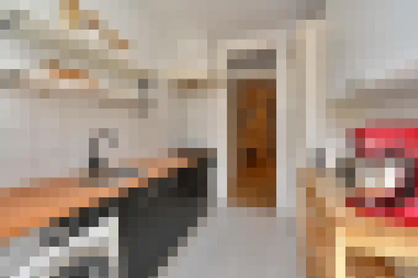 Lijsterbeslaan 119 Rijswijk thumbnail 27