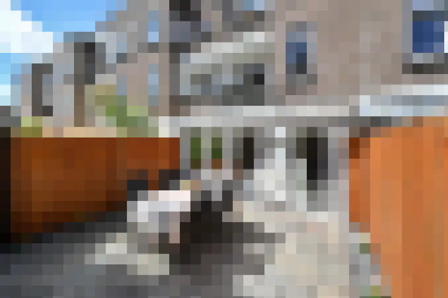 Lijsterbeslaan 119 Rijswijk thumbnail 30