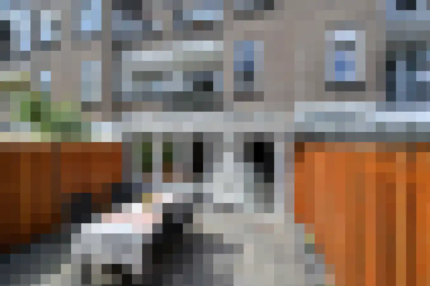 Lijsterbeslaan 119 Rijswijk thumbnail 32