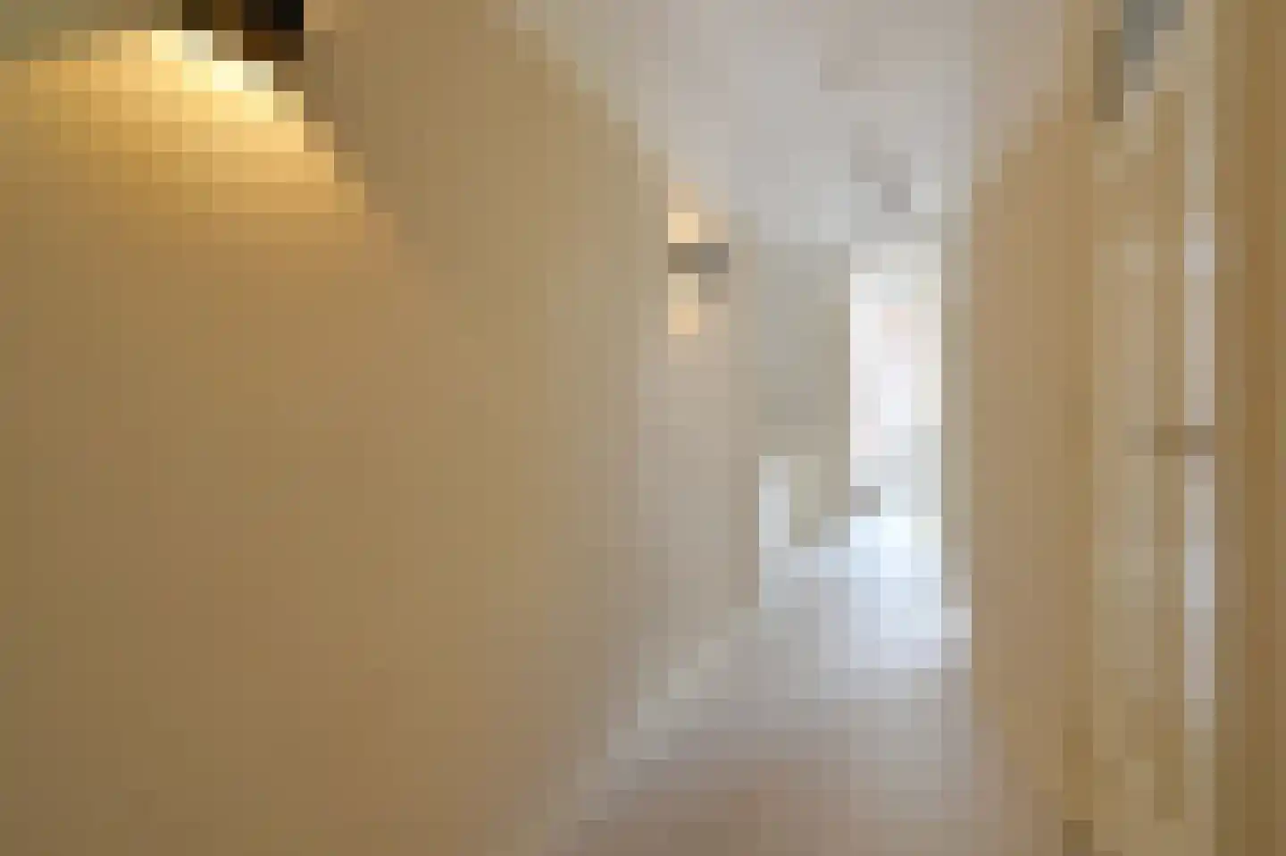 Lijsterbeslaan 119 Rijswijk thumbnail 34