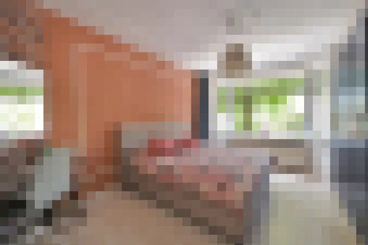 Lijsterbeslaan 119 Rijswijk thumbnail 36