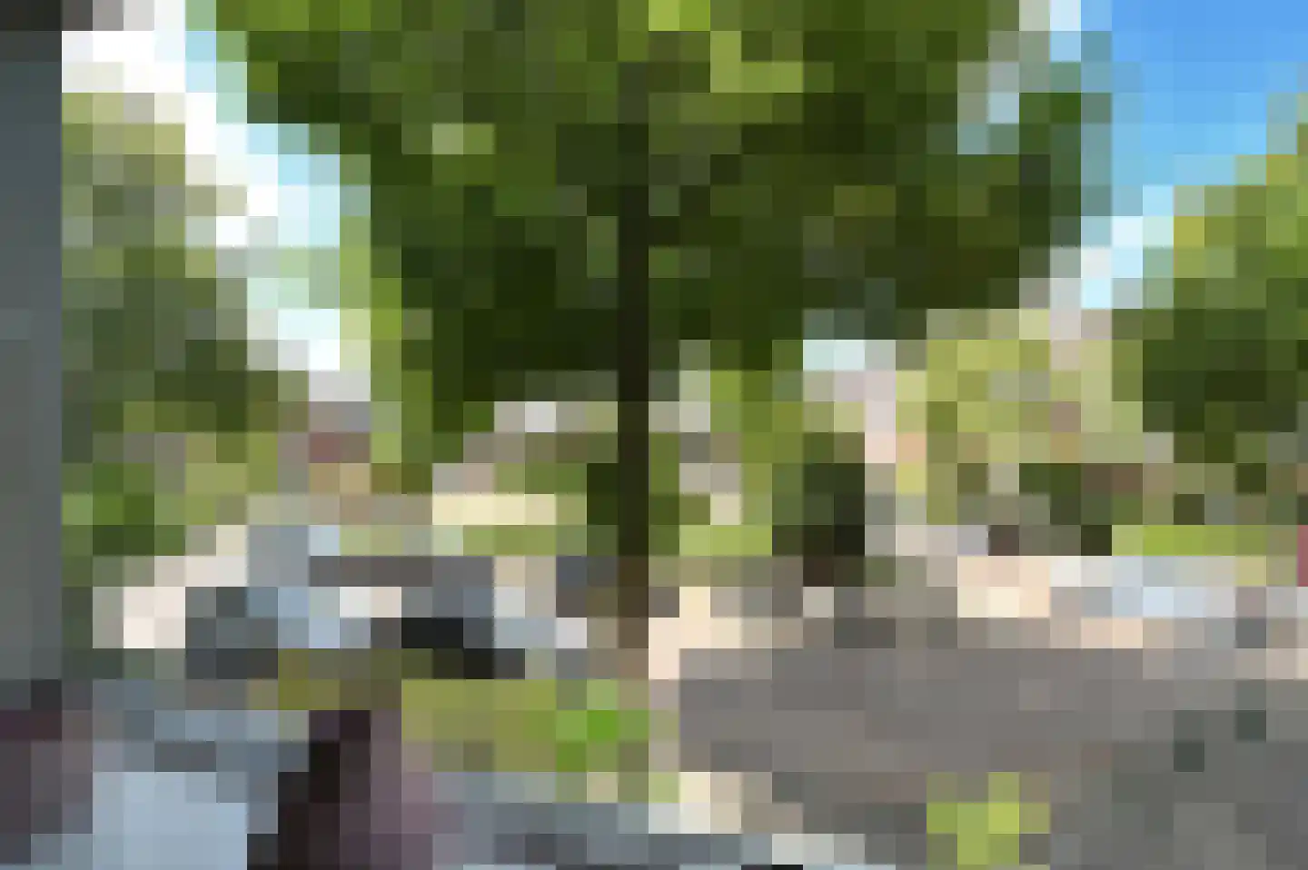 Lijsterbeslaan 119 Rijswijk thumbnail 37