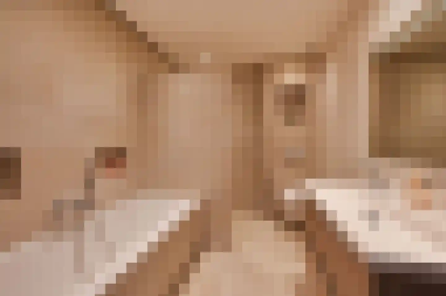 Lijsterbeslaan 119 Rijswijk thumbnail 39