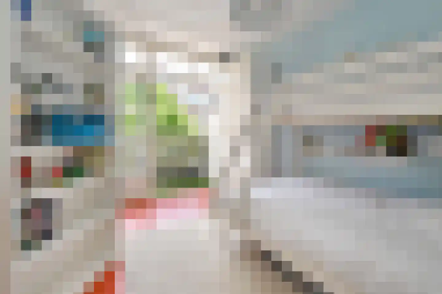 Lijsterbeslaan 119 Rijswijk thumbnail 42