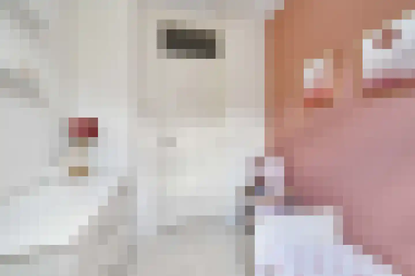 Lijsterbeslaan 119 Rijswijk thumbnail 42