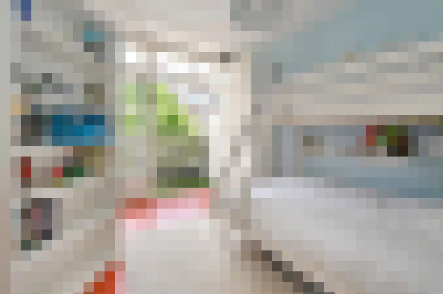 Lijsterbeslaan 119 Rijswijk thumbnail 43