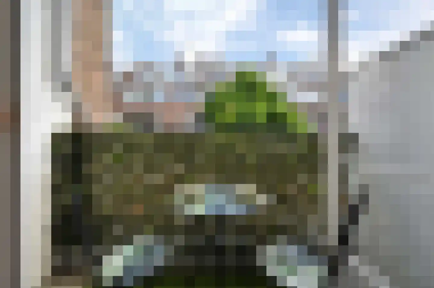 Lijsterbeslaan 119 Rijswijk thumbnail 46