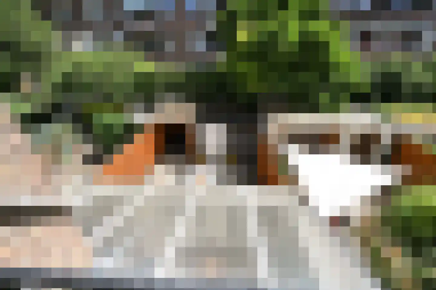 Lijsterbeslaan 119 Rijswijk thumbnail 48