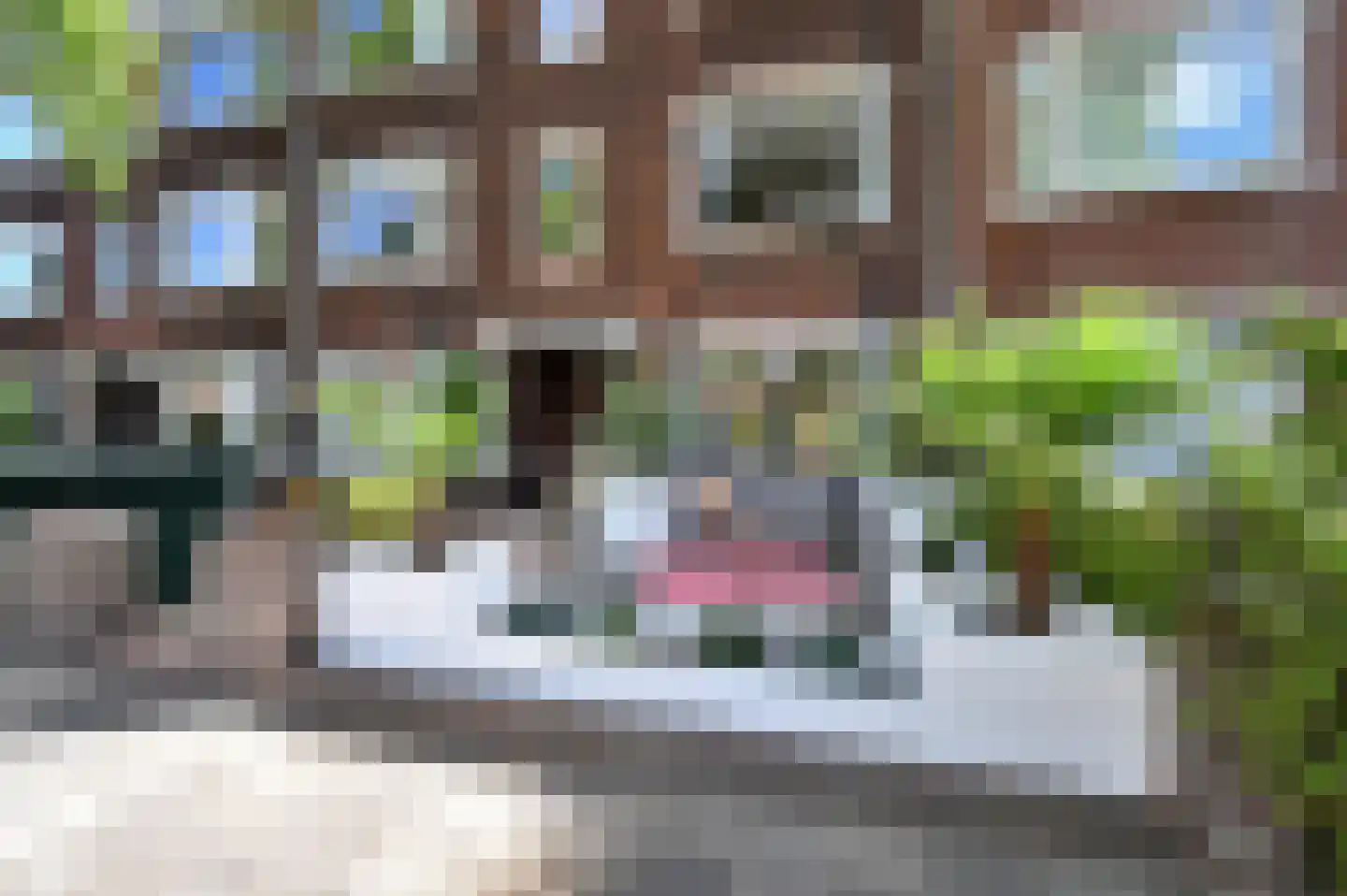 Lijsterbeslaan 119 Rijswijk thumbnail 5