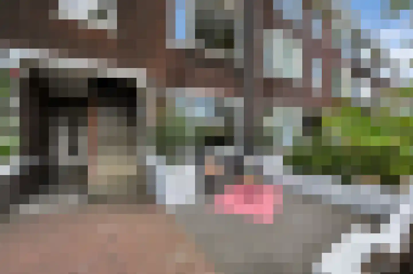 Lijsterbeslaan 119 Rijswijk thumbnail 6