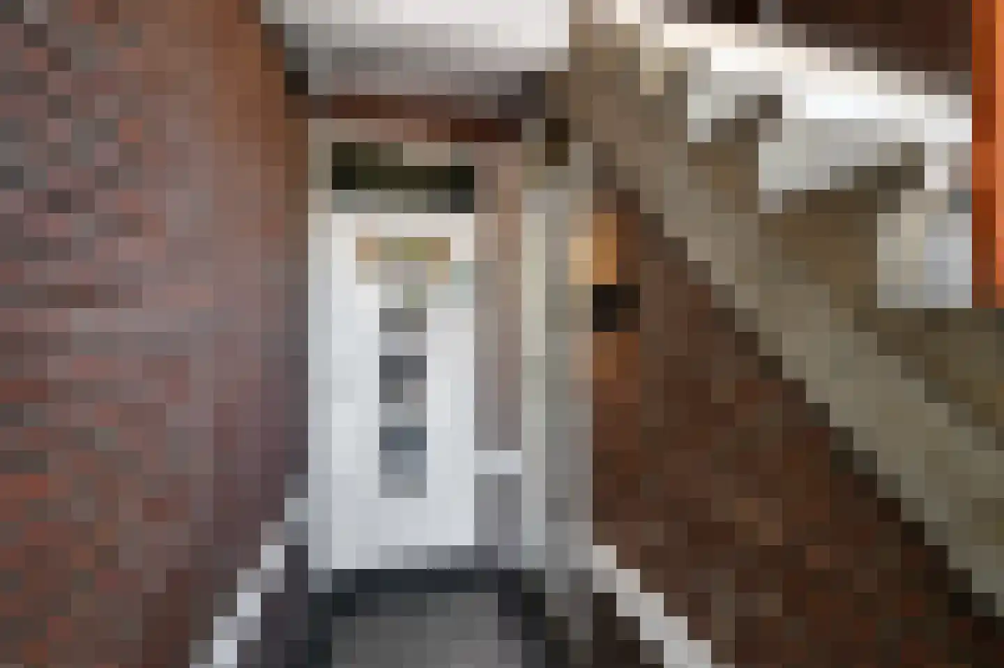 Lijsterbeslaan 119 Rijswijk thumbnail 7