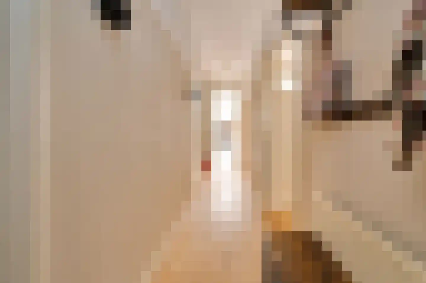 Lijsterbeslaan 119 Rijswijk thumbnail 9