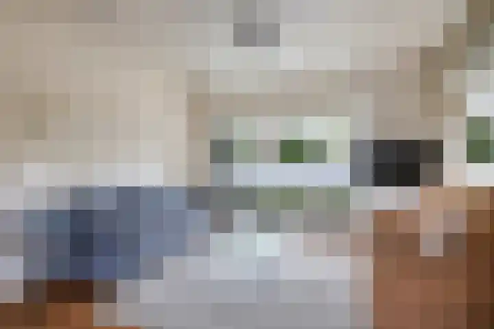 Lijsterbeslaan 12 Doetinchem thumbnail 11
