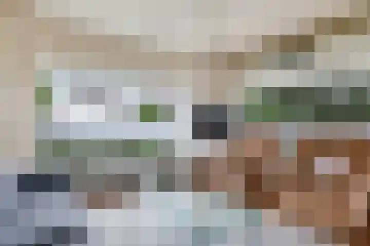 Lijsterbeslaan 12 Doetinchem thumbnail 12