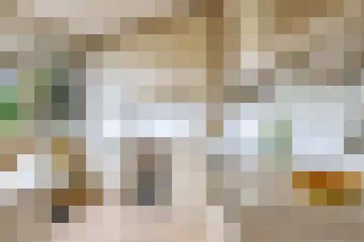 Lijsterbeslaan 12 Doetinchem thumbnail 19