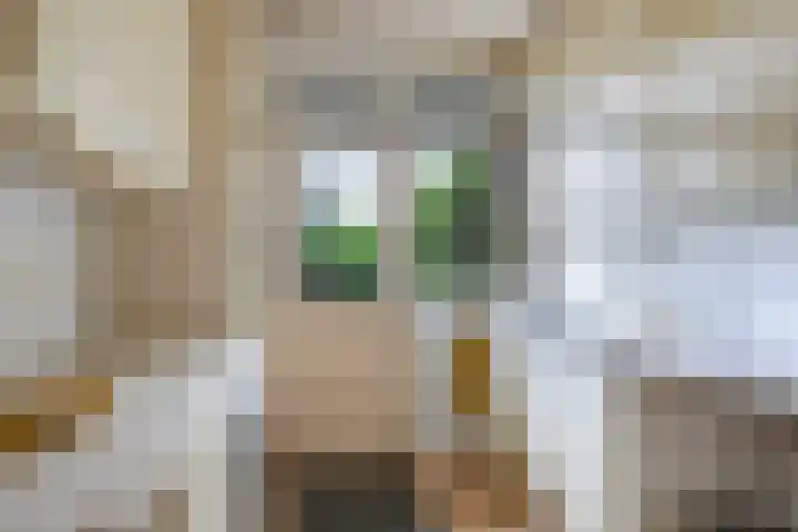 Lijsterbeslaan 12 Doetinchem thumbnail 20