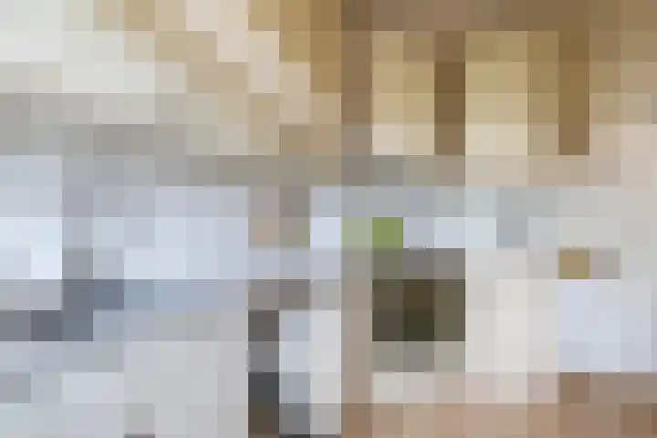 Lijsterbeslaan 12 Doetinchem thumbnail 21