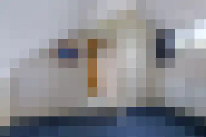 Lijsterbeslaan 12 Doetinchem thumbnail 41