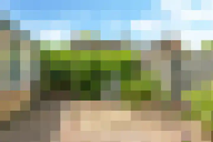 Lijsterbeslaan 12 Doetinchem thumbnail 47