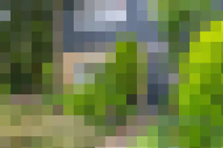 Lijsterbeslaan 12 Doetinchem thumbnail 7