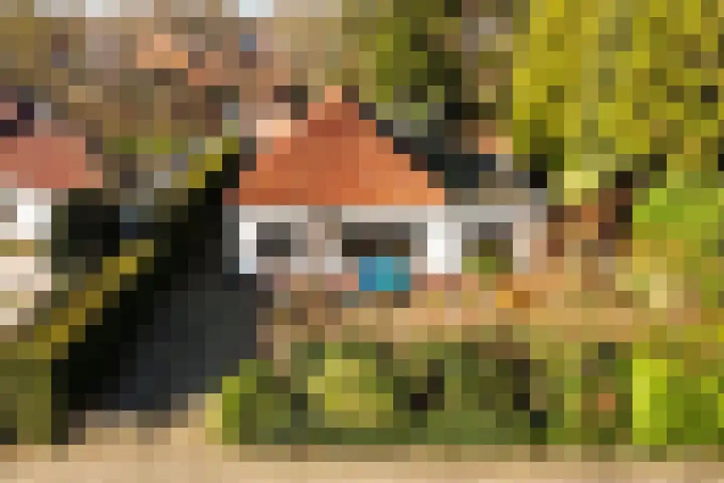 Lijsterbeslaan 13 Bennekom