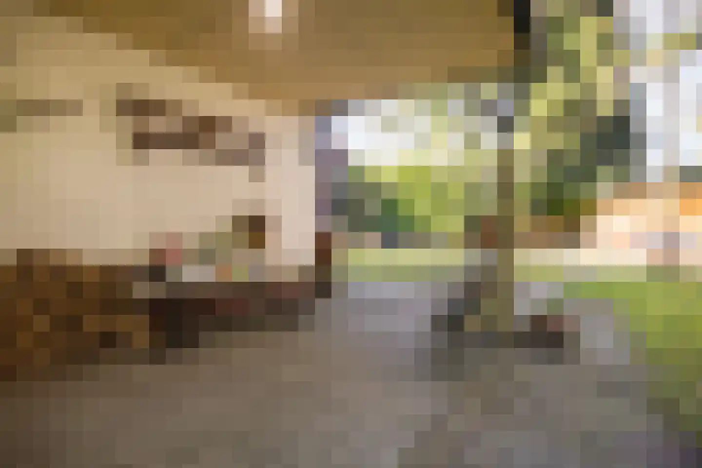 Lijsterbeslaan 13 Bennekom thumbnail 32