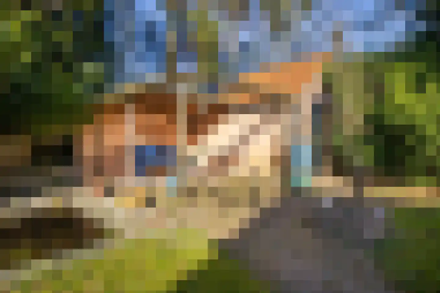 Lijsterbeslaan 13 Bennekom thumbnail 34