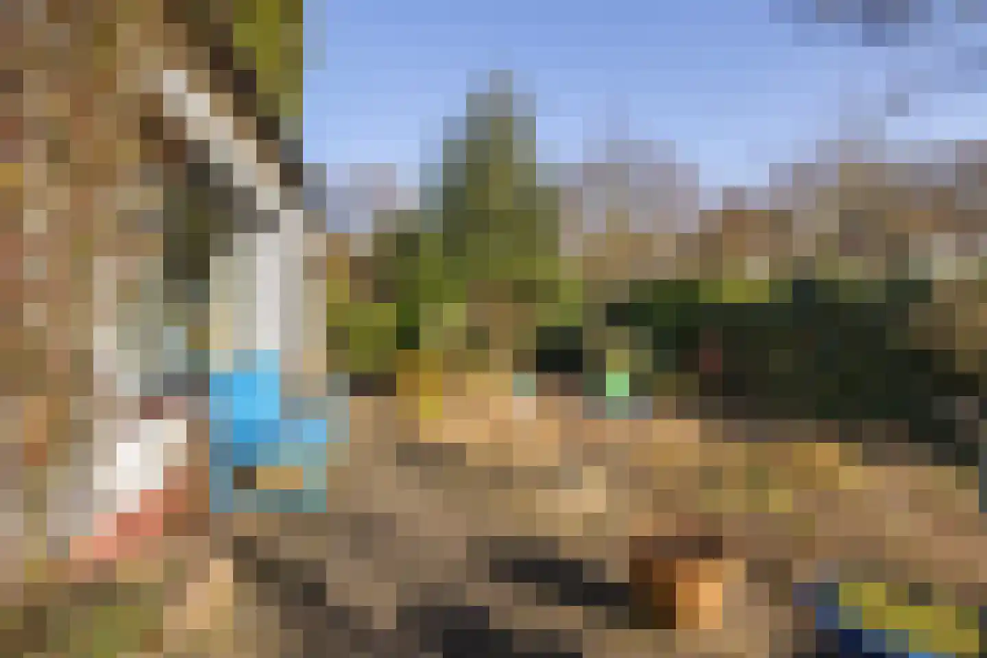 Lijsterbeslaan 13 Bennekom thumbnail 39