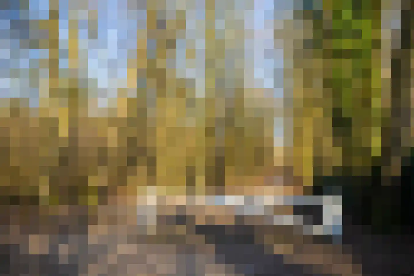 Lijsterbeslaan 13 Bennekom thumbnail 47