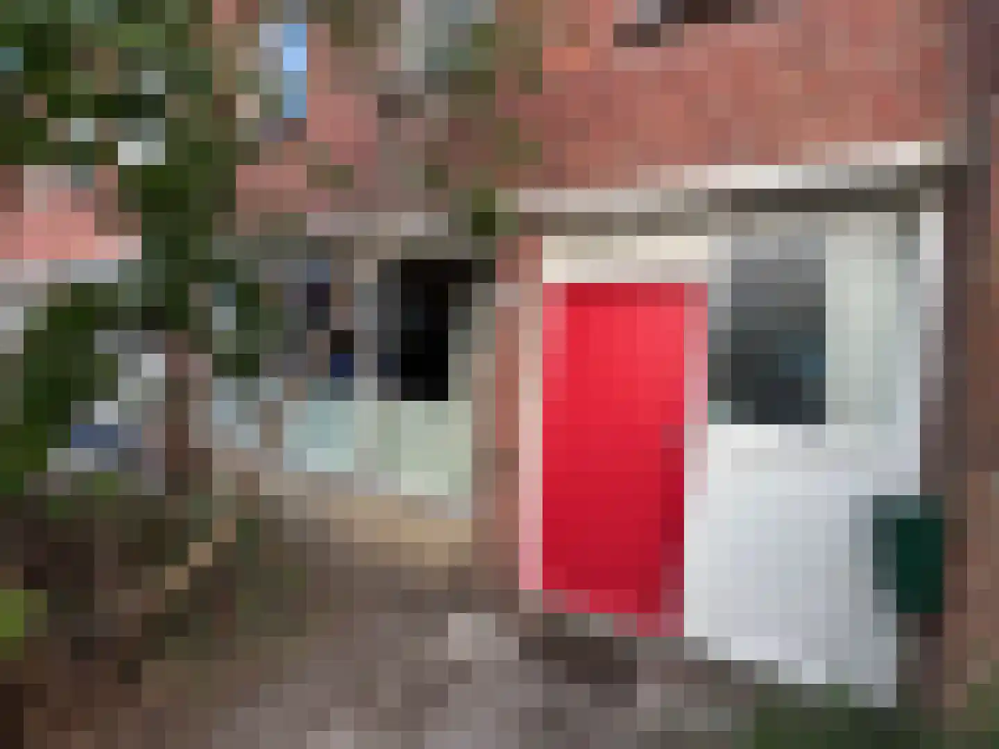 Lijsterbeslaan 13 Roosendaal thumbnail 19