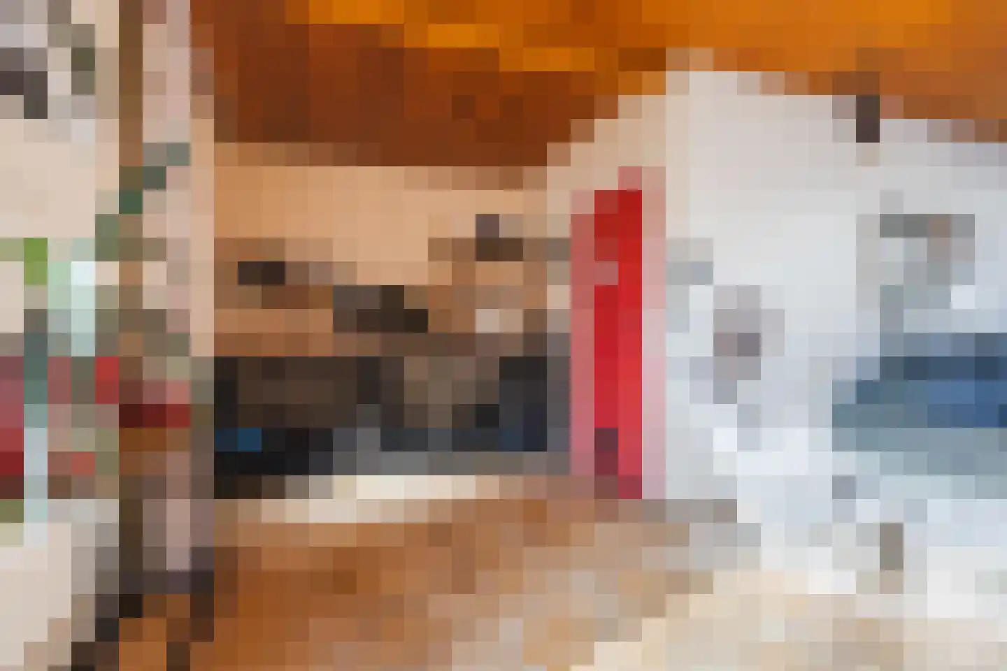 Lijsterbeslaan 13 Roosendaal thumbnail 6