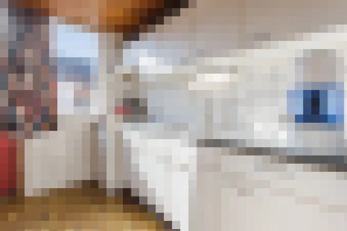 Lijsterbeslaan 13 Roosendaal thumbnail 7