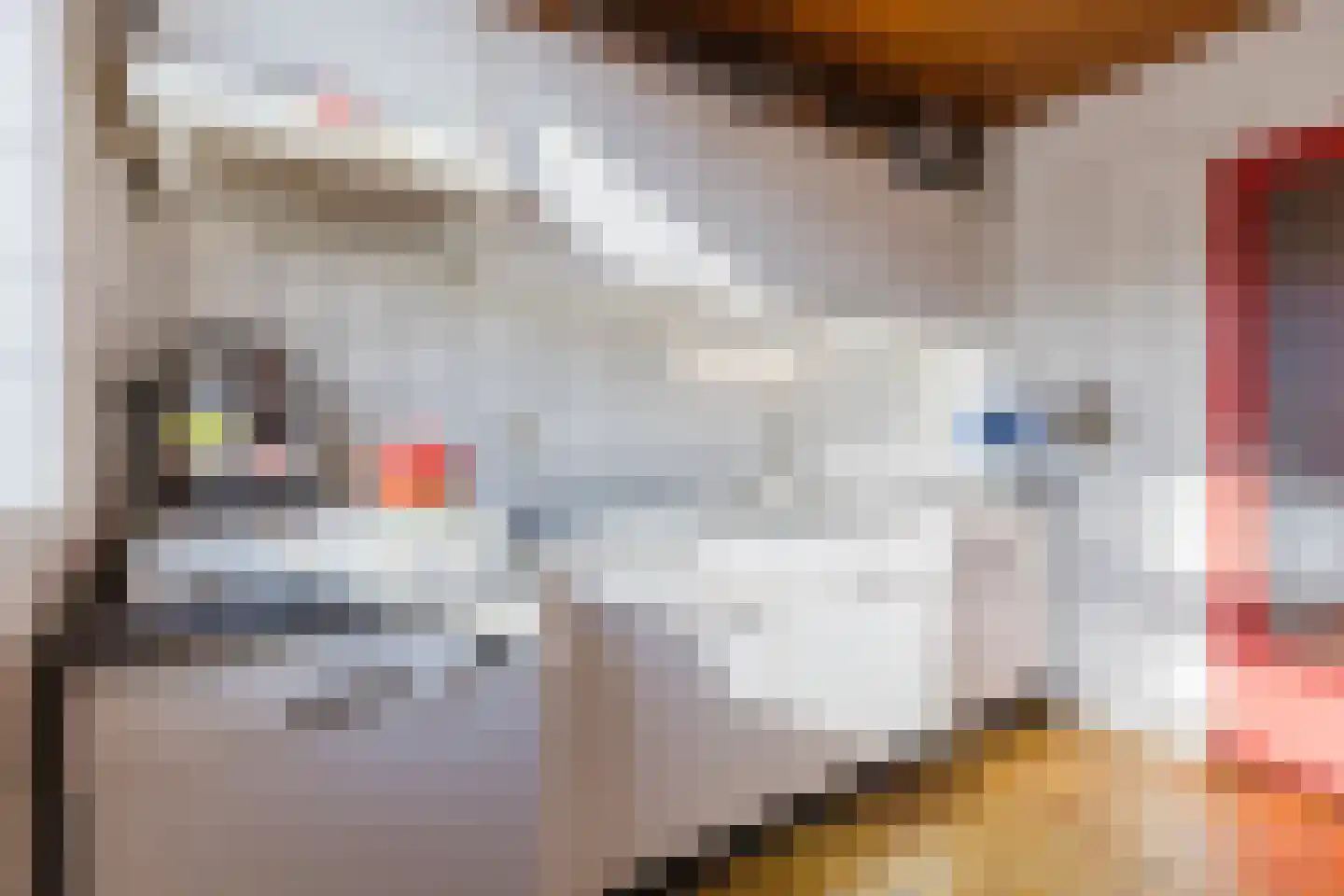 Lijsterbeslaan 13 Roosendaal thumbnail 9