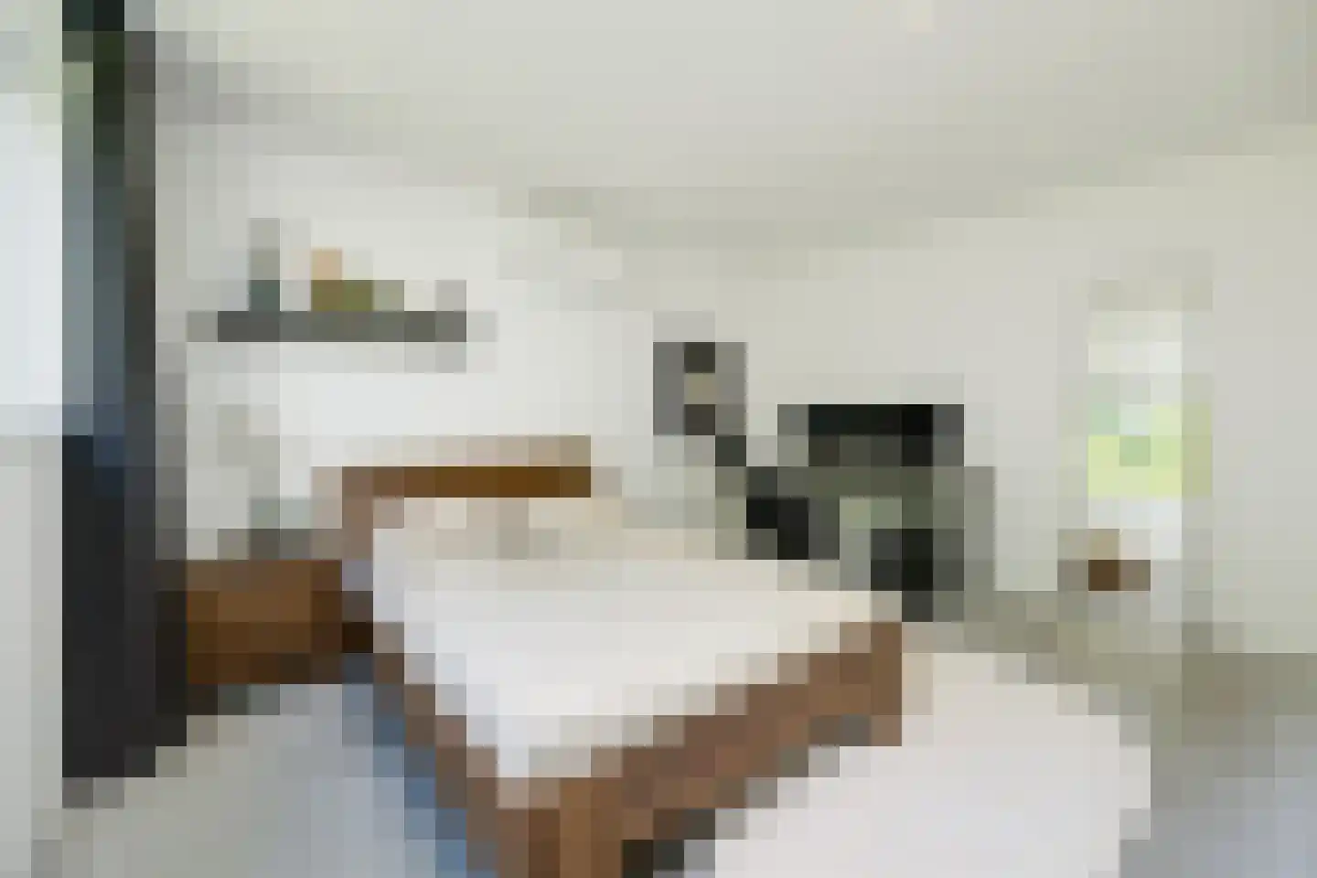 Lijsterbeslaan 14 Vught thumbnail 11