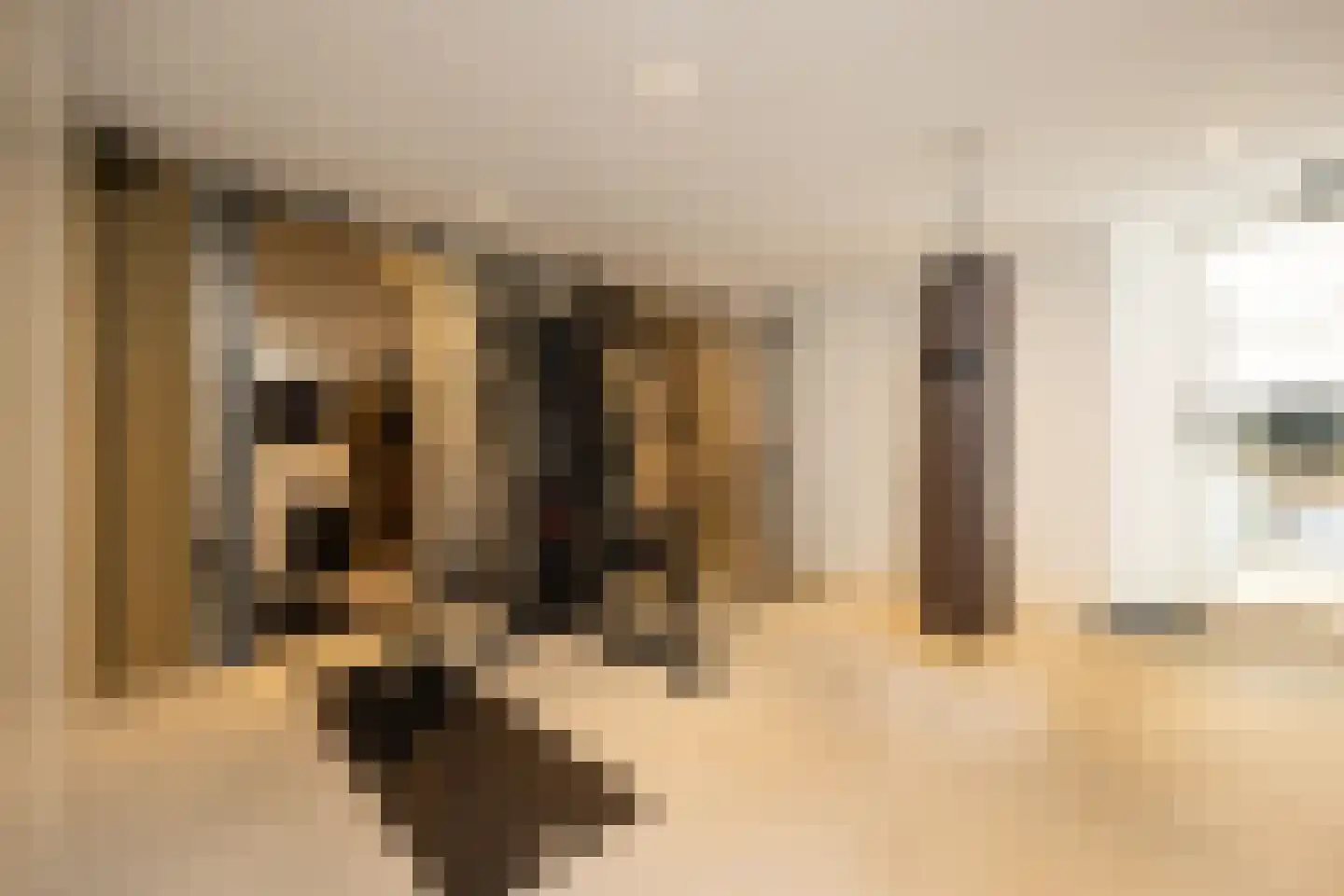 Lijsterbeslaan 14 Vught thumbnail 13
