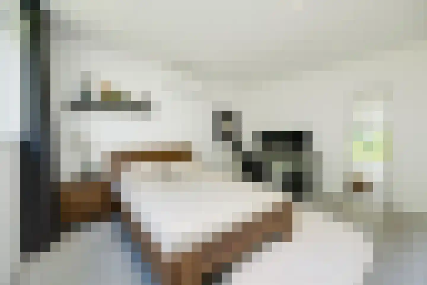 Lijsterbeslaan 14 Vught thumbnail 14