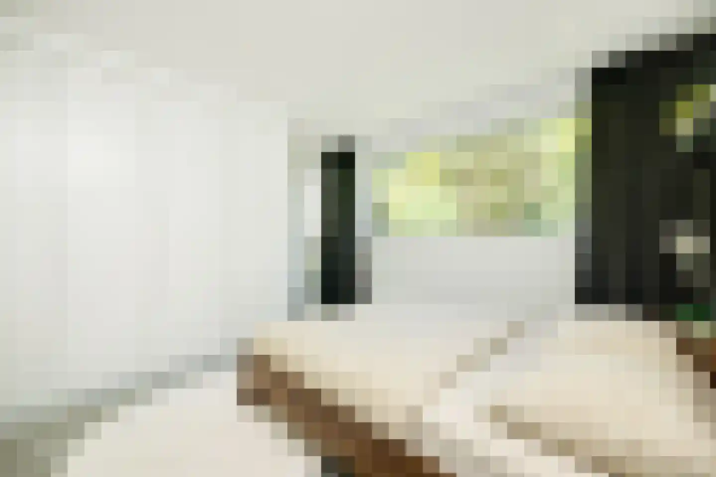 Lijsterbeslaan 14 Vught thumbnail 15