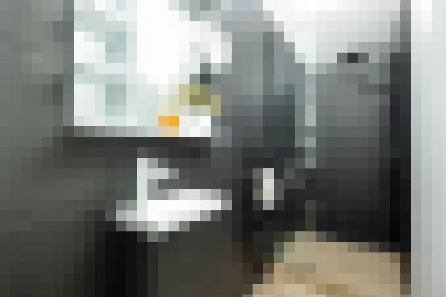 Lijsterbeslaan 14 Vught thumbnail 19