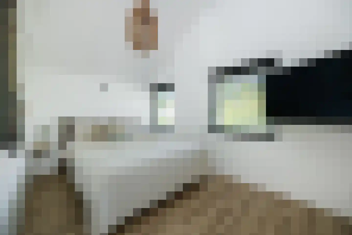 Lijsterbeslaan 14 Vught thumbnail 20