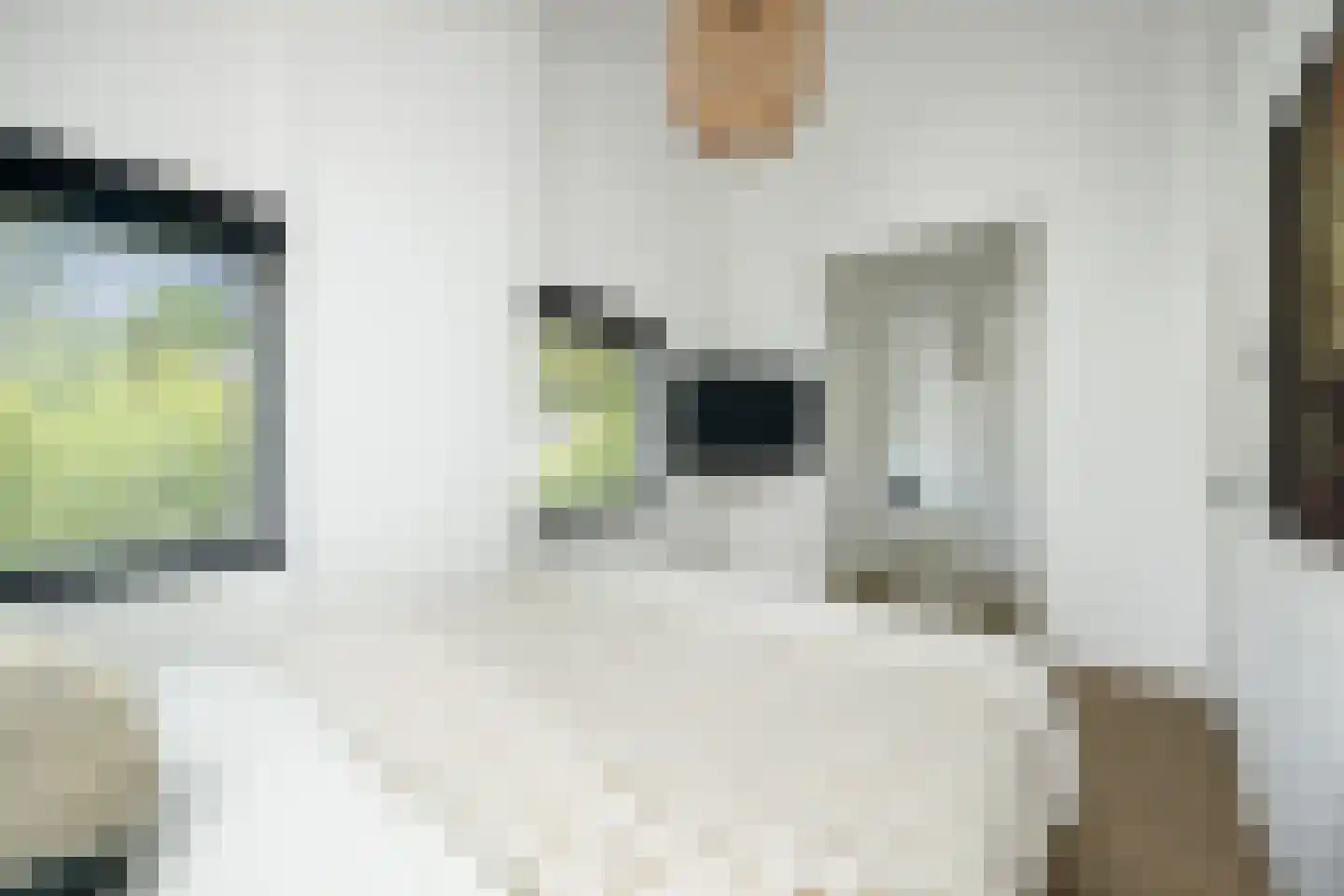 Lijsterbeslaan 14 Vught thumbnail 21