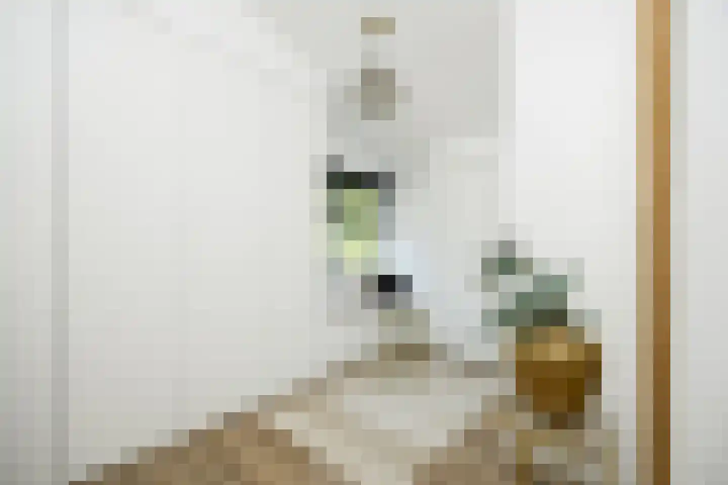 Lijsterbeslaan 14 Vught thumbnail 22