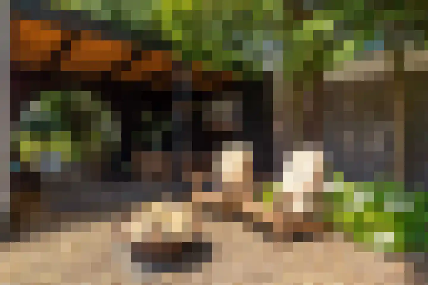 Lijsterbeslaan 14 Vught thumbnail 26
