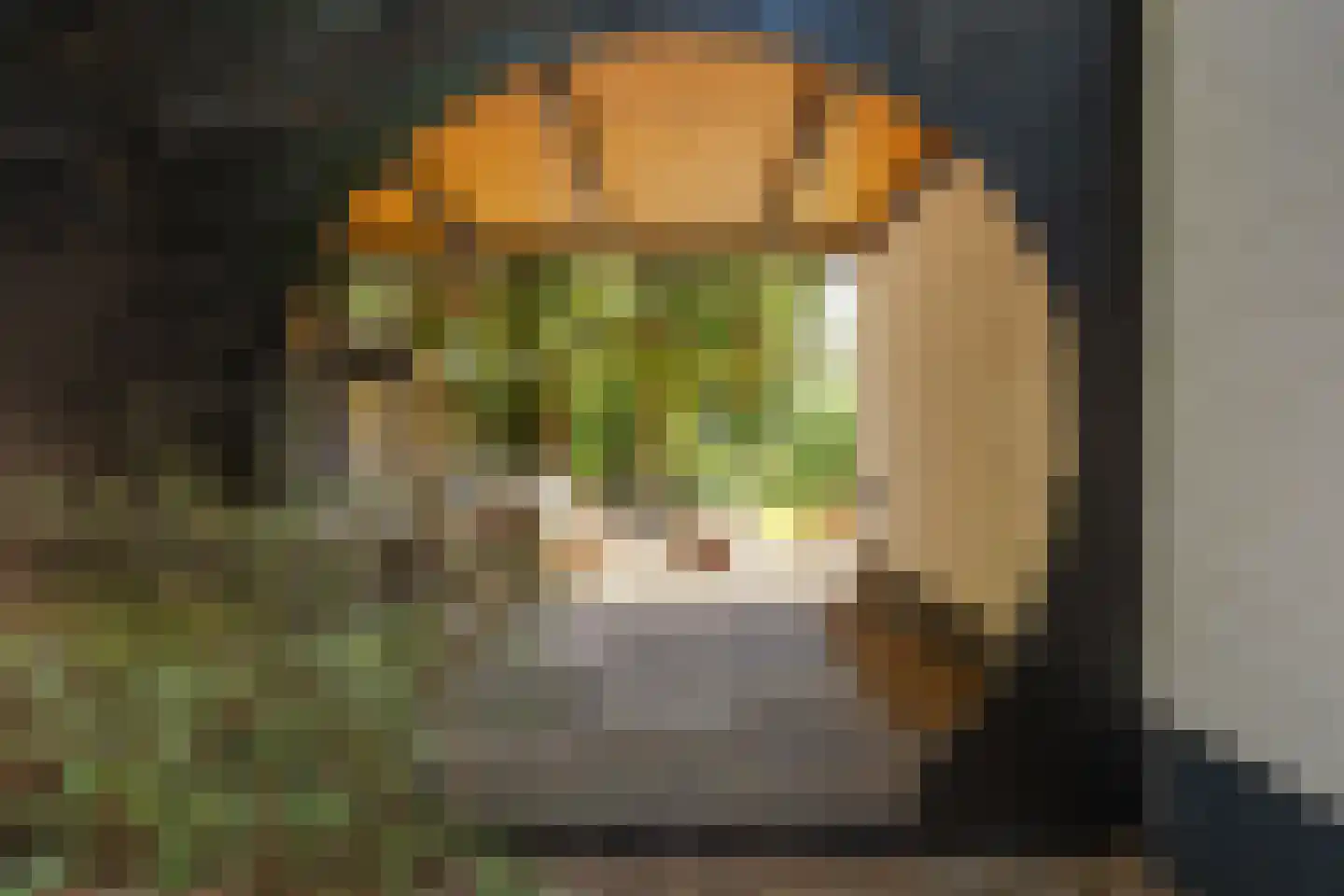 Lijsterbeslaan 14 Vught thumbnail 28