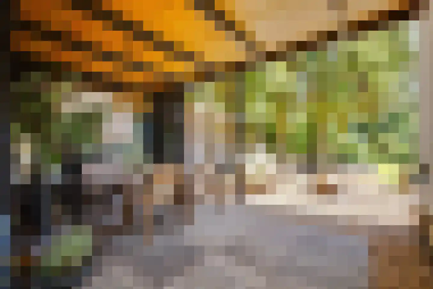Lijsterbeslaan 14 Vught thumbnail 28