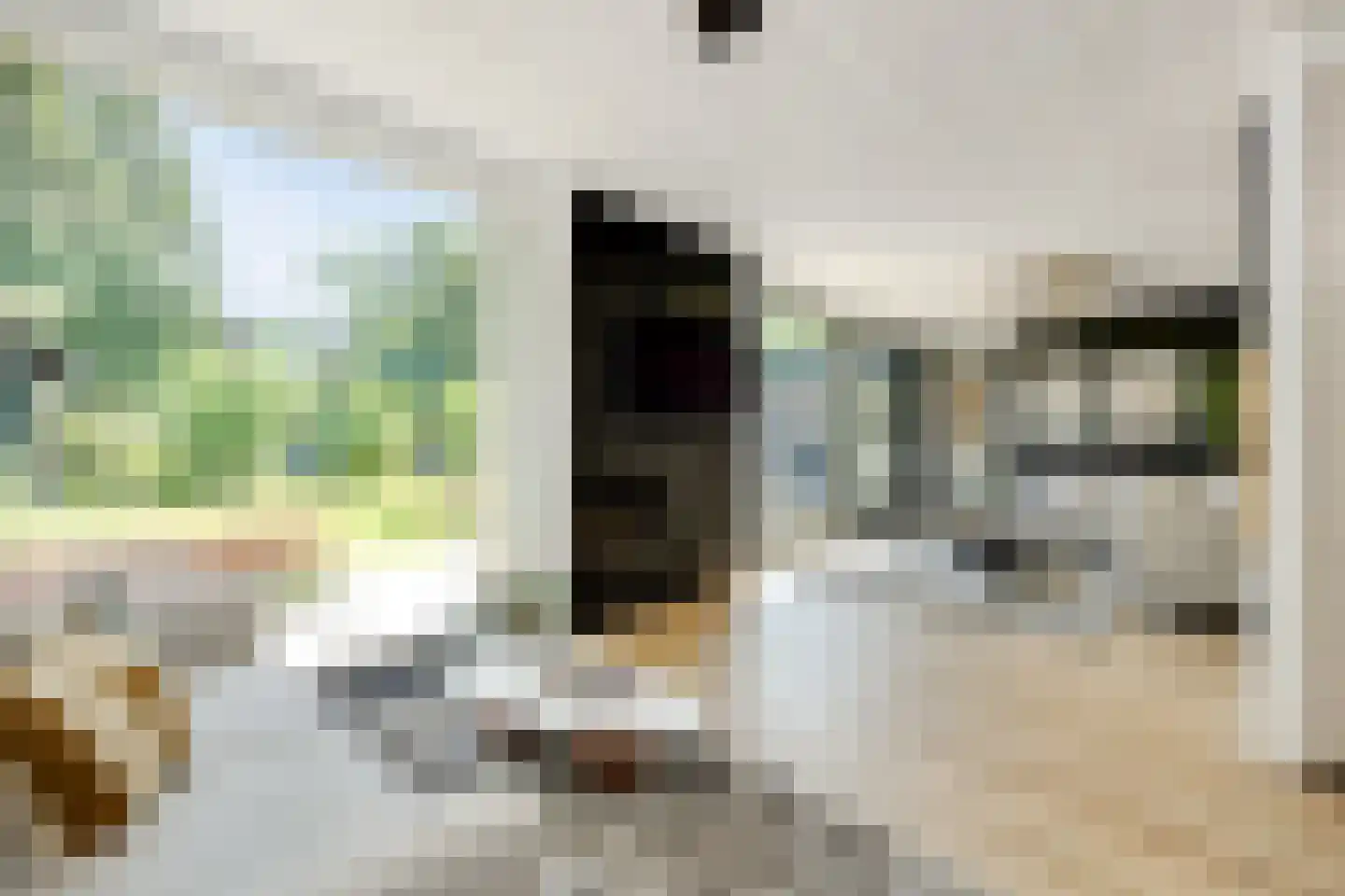 Lijsterbeslaan 14 Vught thumbnail 5
