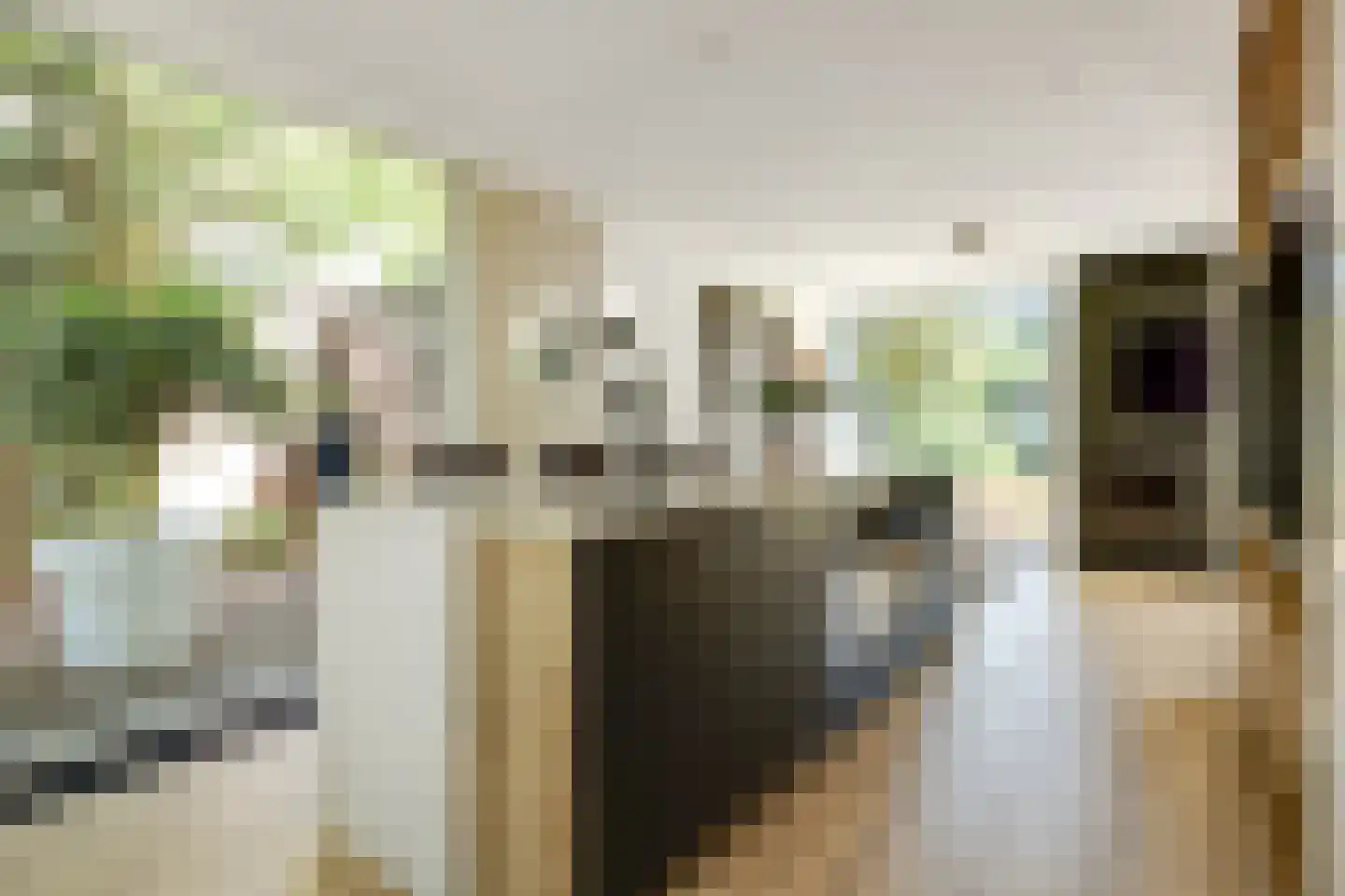 Lijsterbeslaan 14 Vught thumbnail 5