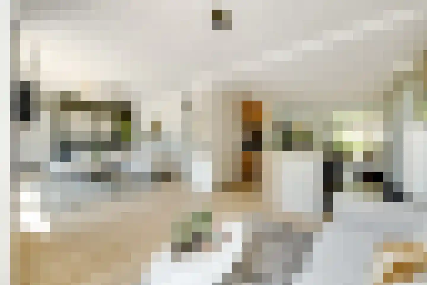 Lijsterbeslaan 14 Vught thumbnail 6