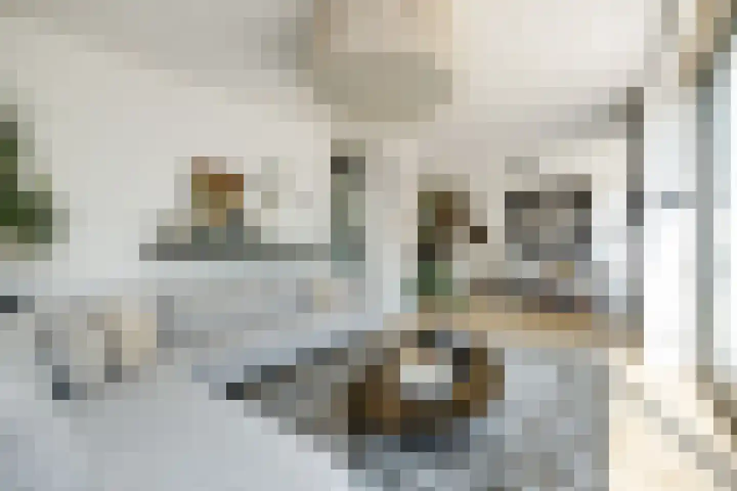 Lijsterbeslaan 14 Vught thumbnail 7