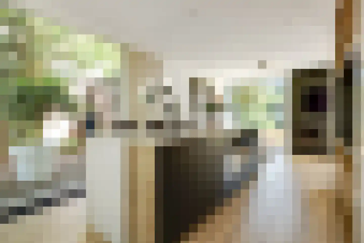 Lijsterbeslaan 14 Vught thumbnail 8